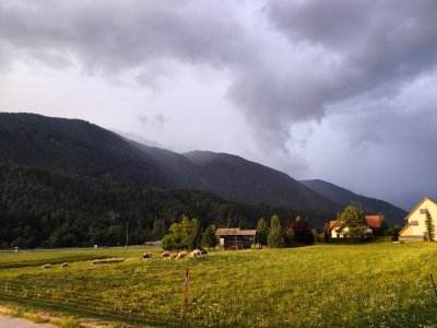 okolica3