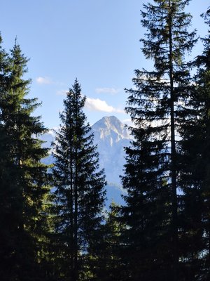 kuhinja